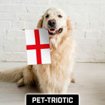 Load image into Gallery viewer, G128 30 Pack Handheld England English Stick Flags  12x18 In  Printed 150D Polyester, Country Flag, Solid Wooden Stick, Spear Gold Tip