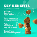 Load image into Gallery viewer, Probiotics for Dogs Support Gut Health Immunity Yeast Balance Itchy Skin