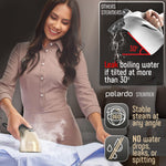 Load image into Gallery viewer, Clothing Steamer Travel Size Vacation Essentials Handheld Gold Steam Iron