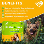 Load image into Gallery viewer, Natural Flea &amp; Tick Collar for Dogs 6 Months Control of Best Prevention &amp; Safe Treatment Anti Fleas and Ticks Essential Oil Repellent (1 Pack 2 Count)