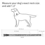 Load image into Gallery viewer, Design Leather Dog Collar for Puppy Small Medium and Large Dogs Boy &amp; Girl Leather Dog Collar Leather Buckle Dog Collar White (7 1 5 9 2 5 Neck 1 2 Wide Summer 1)
