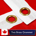 Load image into Gallery viewer, Canada Canadian Flag 3x5 Ft 10Pack Printed Polyester By G128